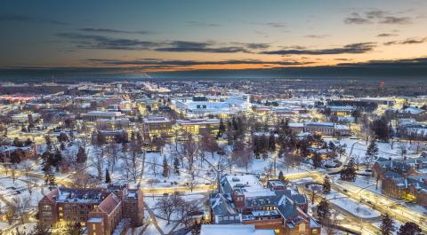 Michigan State University